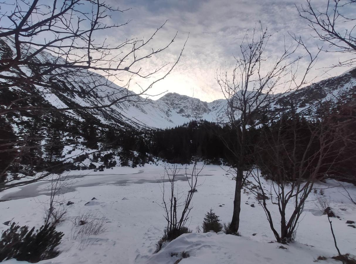 Western Tatras Slovakia Oravsky Biely Potok Exterior foto